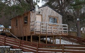 Pine Marten Bar Glenmore Treehouse